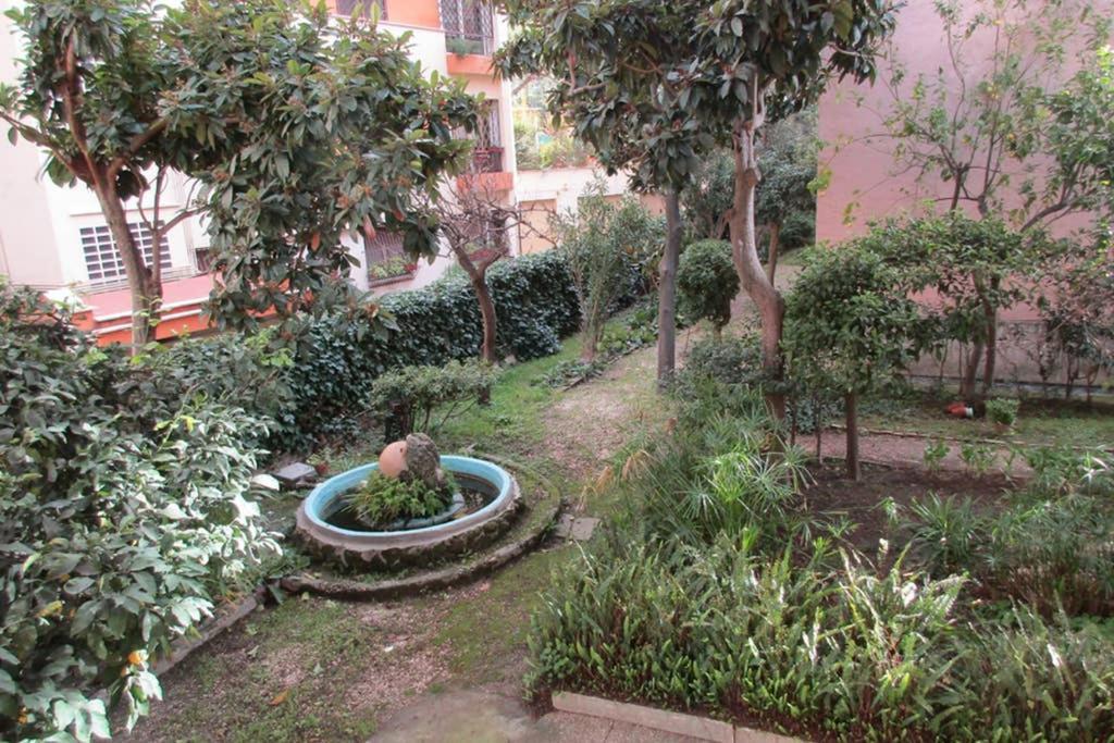 A Casa Di Rosa Lägenhet Rom